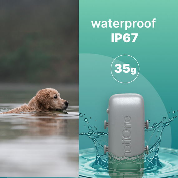 Tracker notiOne GPS PET Basic – for Dogs and Cats