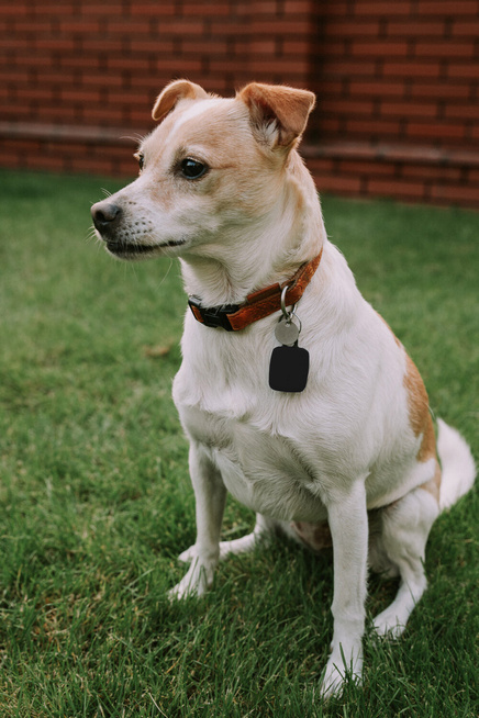 Lokalizator notiOne GPS